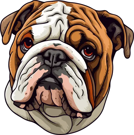 An illustration of a Bulldog