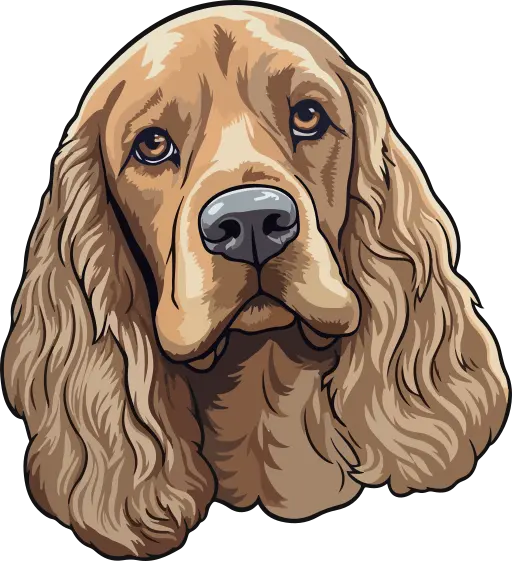 An illustration of a Cocker Spaniel