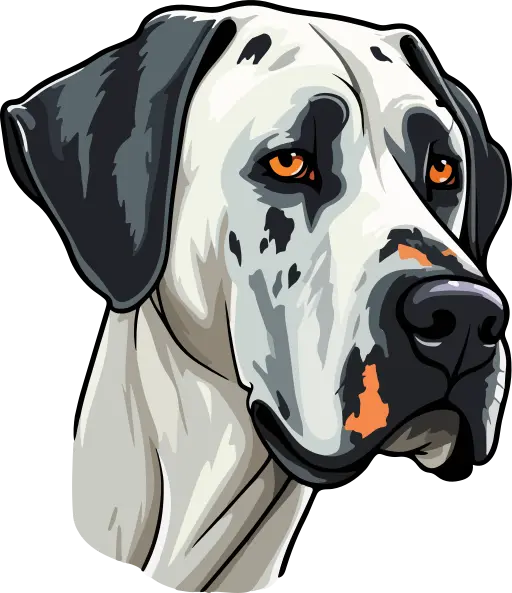 An illustration of a Great Dane
